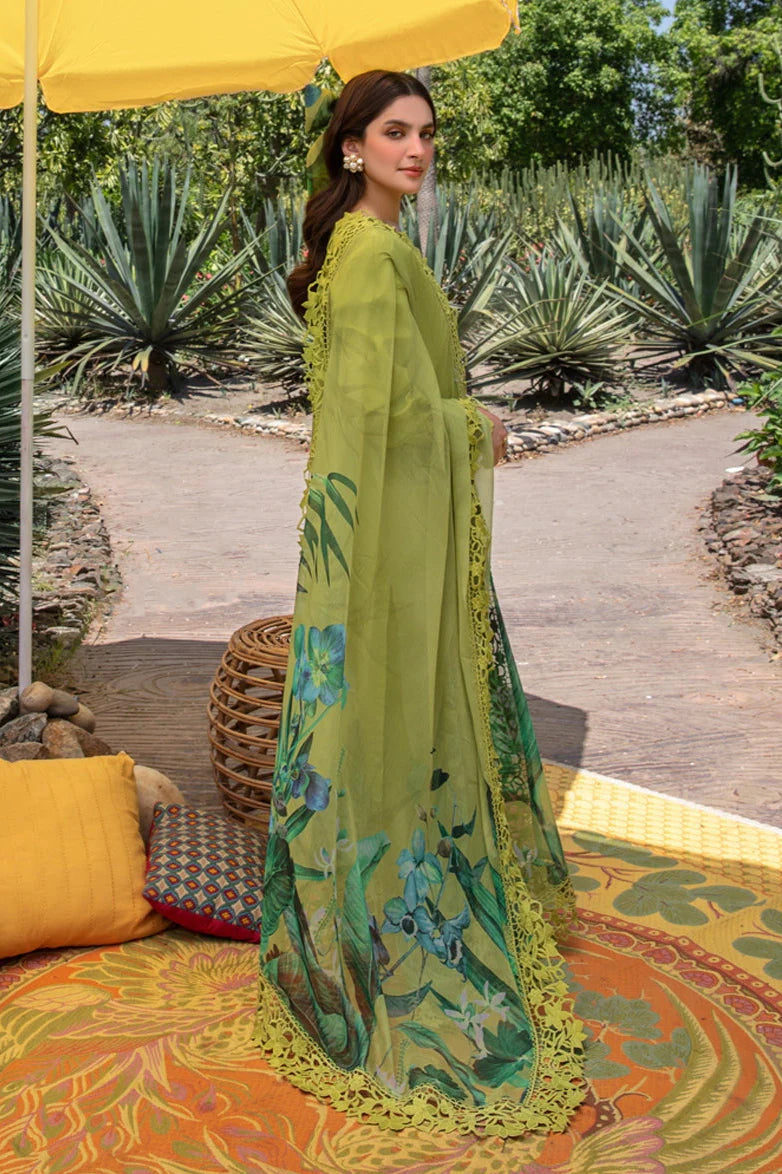 Rang Rasiya Embroidery 3PC Dhanak Suit JCH-119