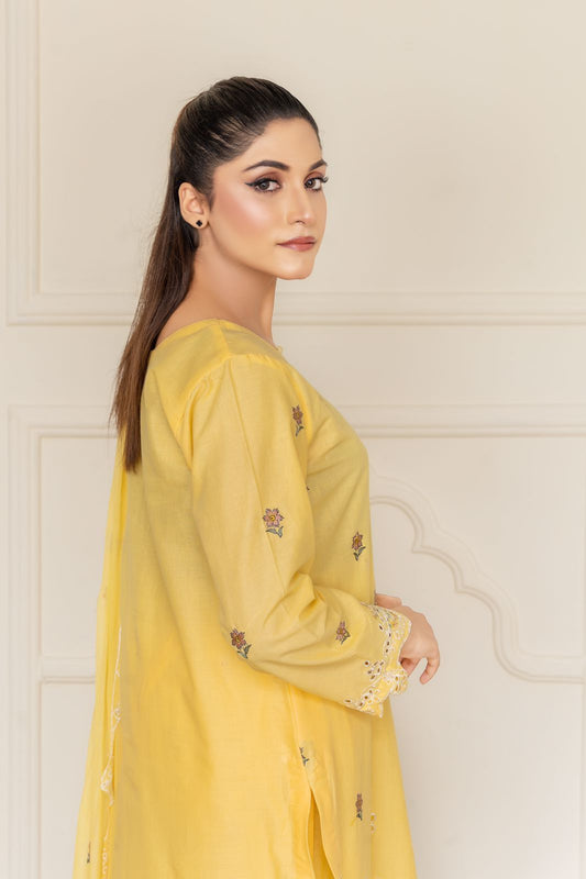 AYRA DESIGNER 3PC LUXURY LAWN JCH-035